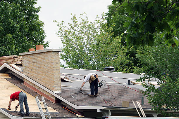 Best Roof Moss and Algae Removal  in Mount Vista, WA